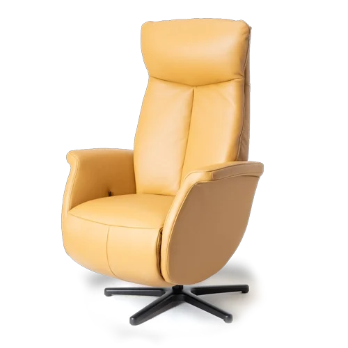 FZ-R01A06-fauteuil